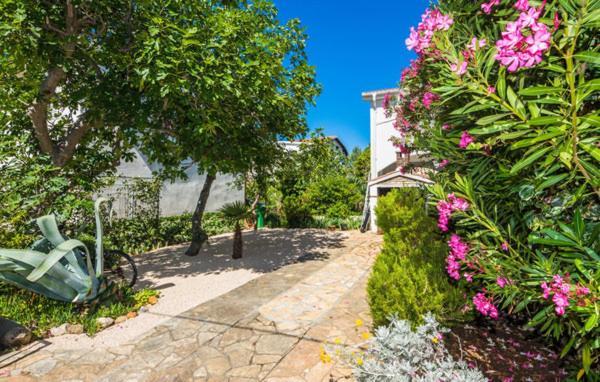 Apartment "Marija" - Otok Vir Exterior foto
